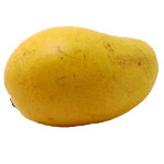 Sindhri-Mango